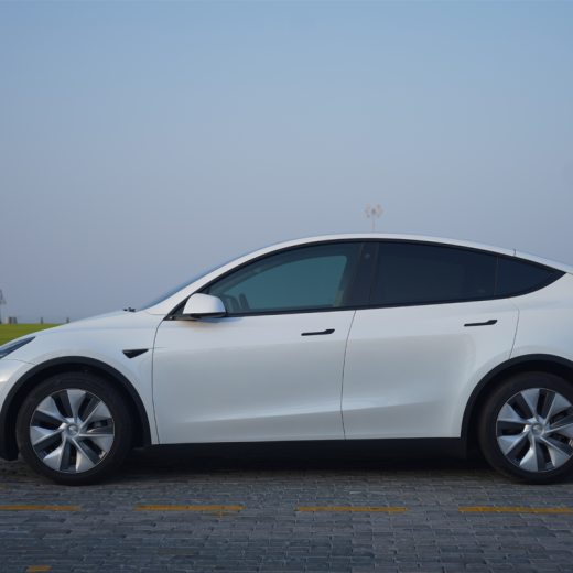 Pros and Cons of electrical cars tesla